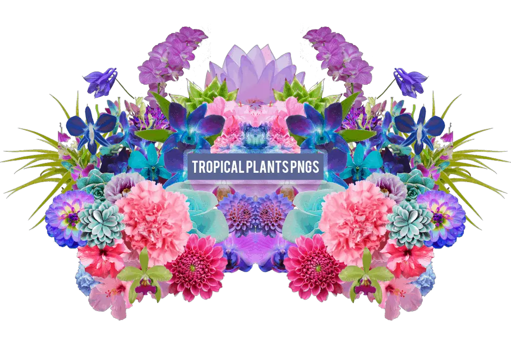 Tropical Plant PNG's