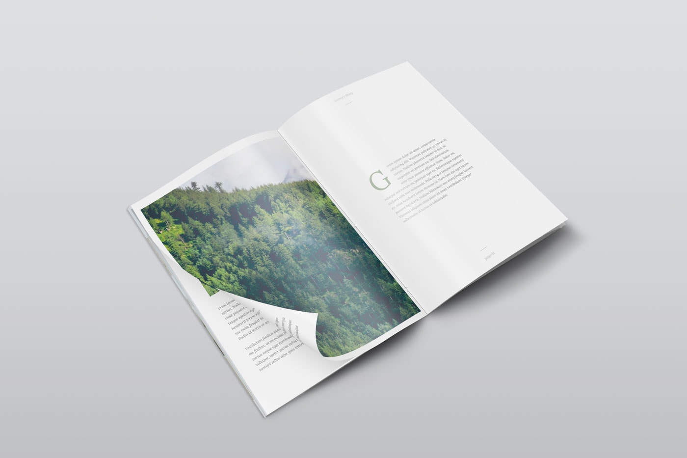 Free Isometric A4 PSD Magazine Mockup