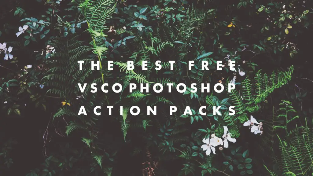 The Best Free VSCO Photoshop Actions