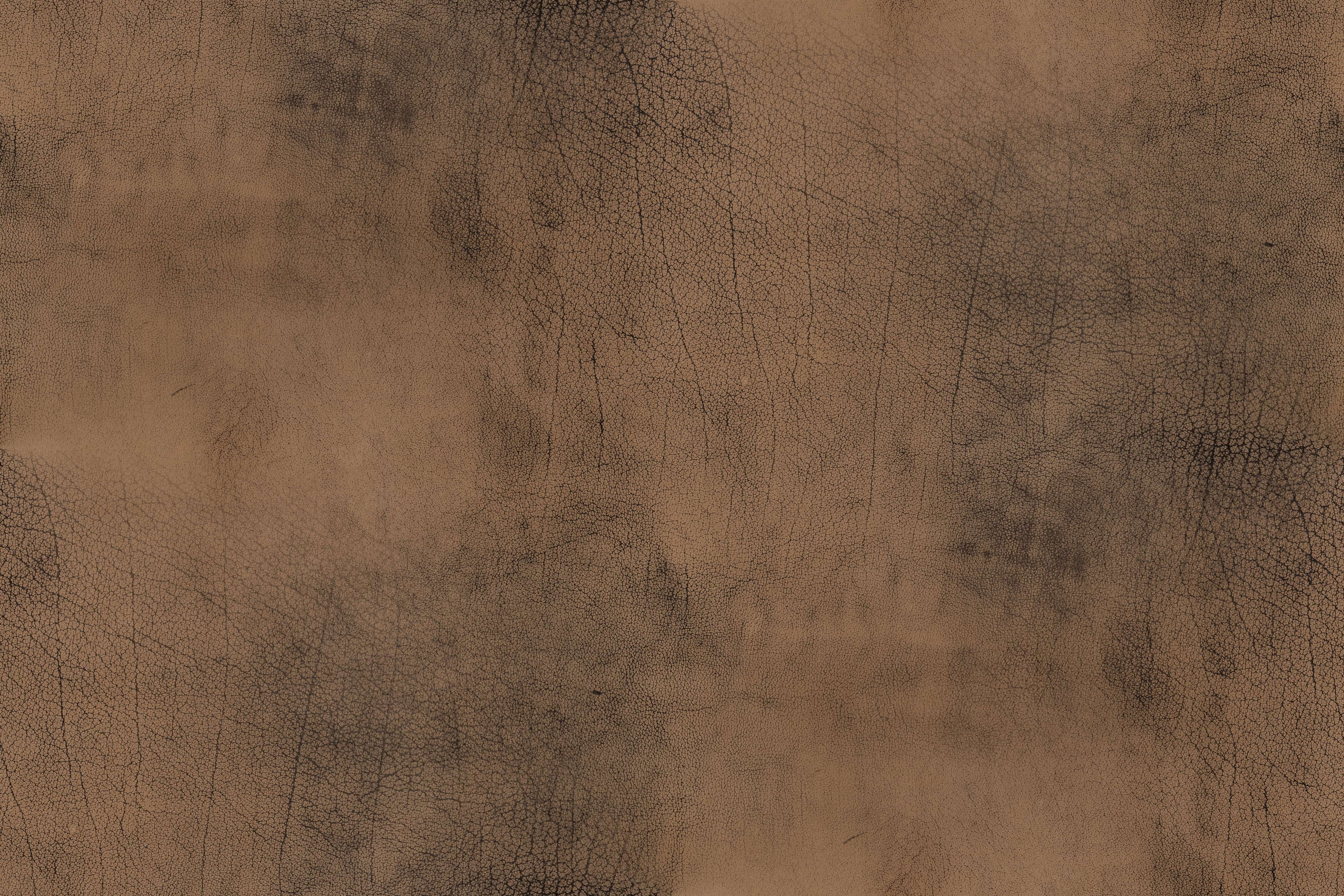 buffalo leather texture