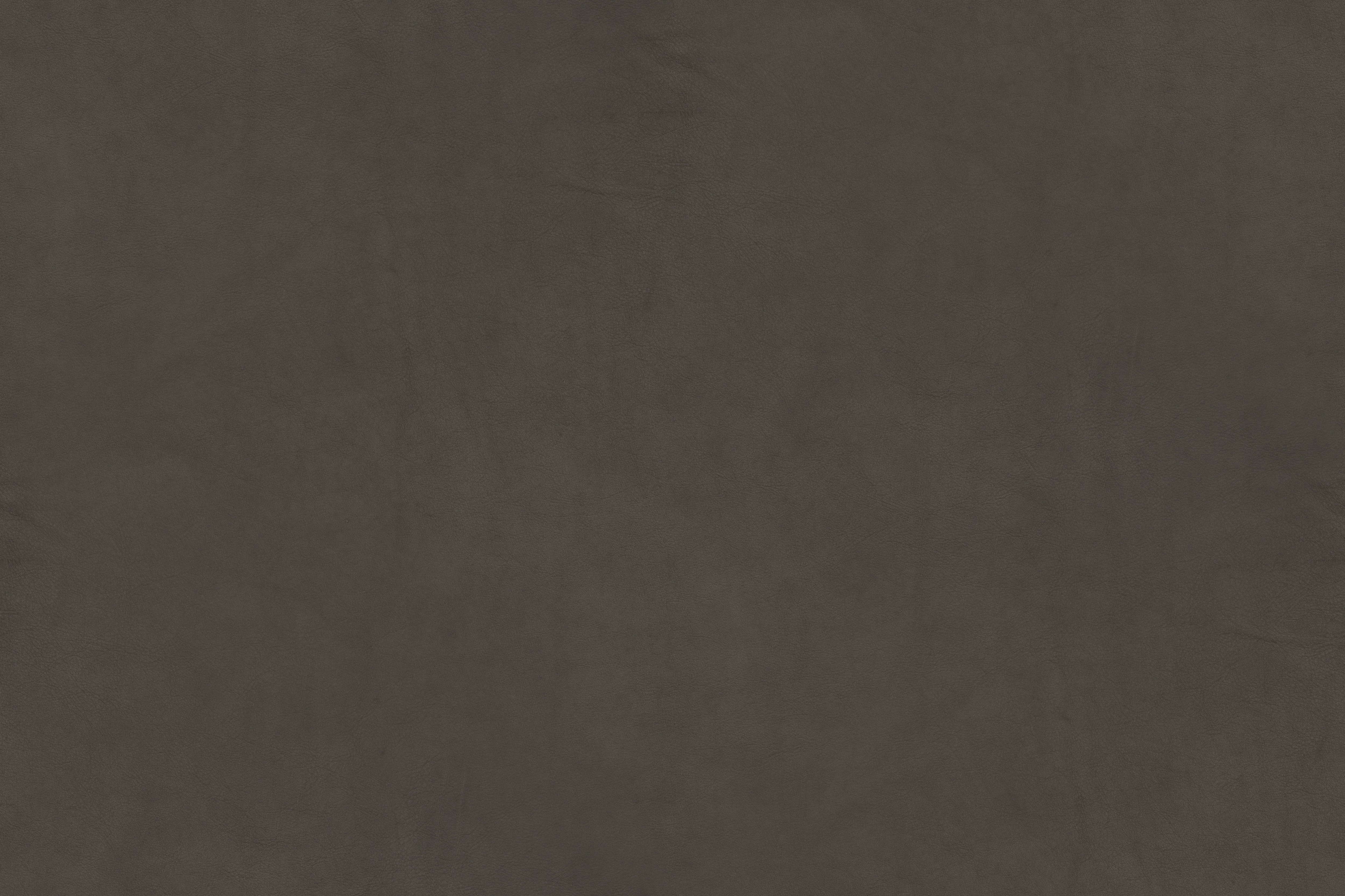 campo series grey leather texture