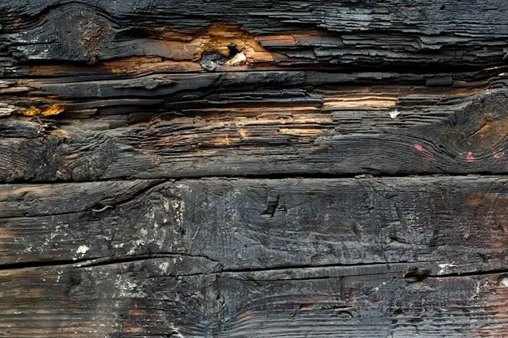 burnt-plank-wood