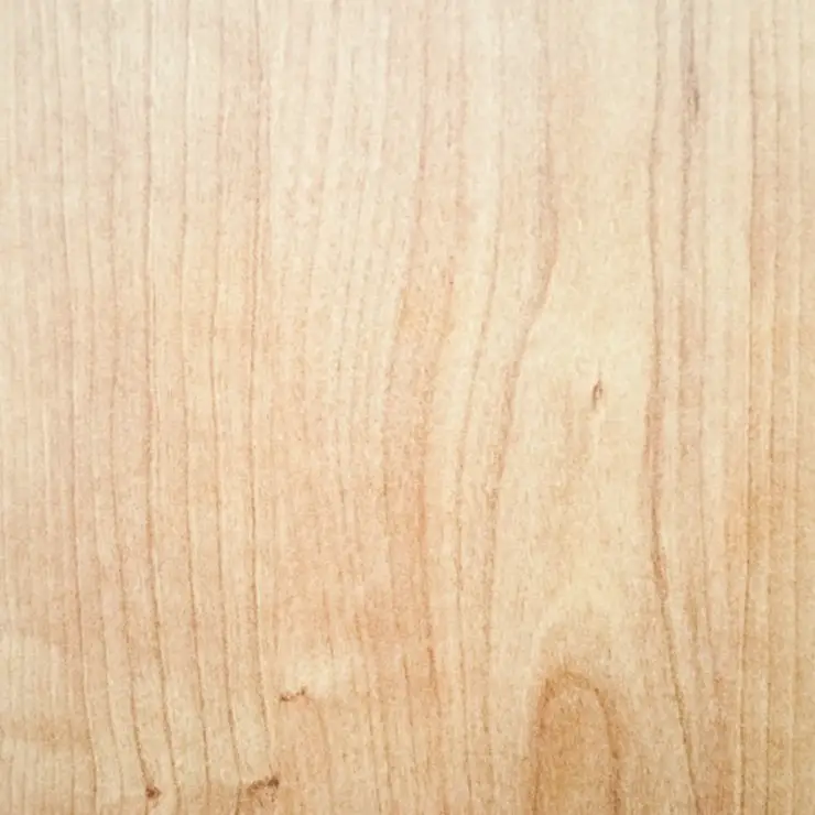 wood-texture-vector