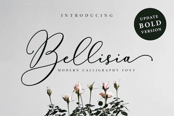 bellisia-script-bold-version