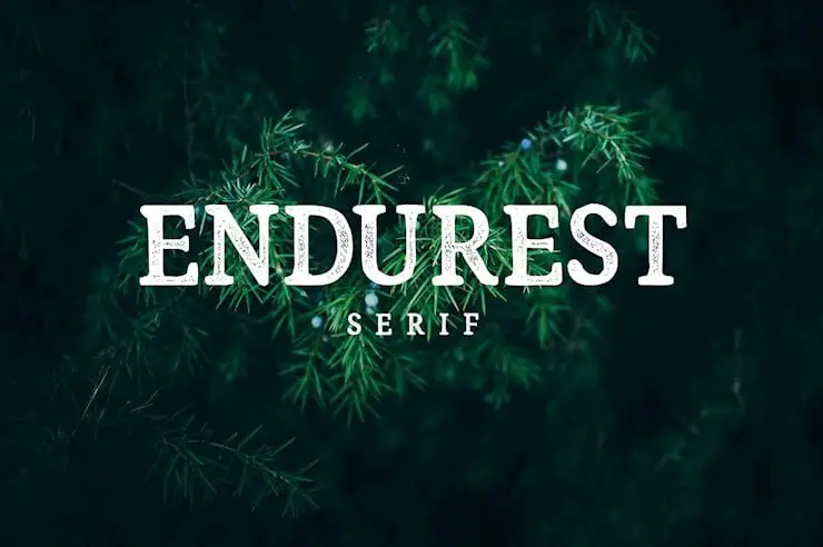 endurest-font