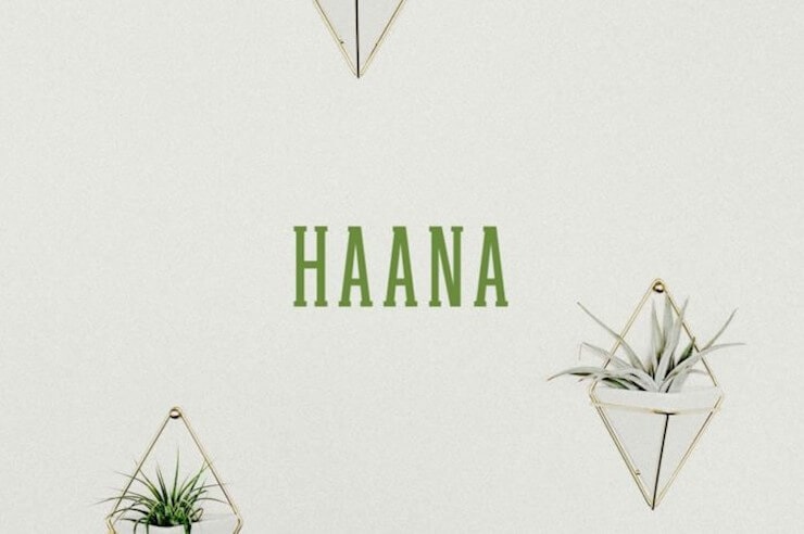 free-haana-slab-serif-font