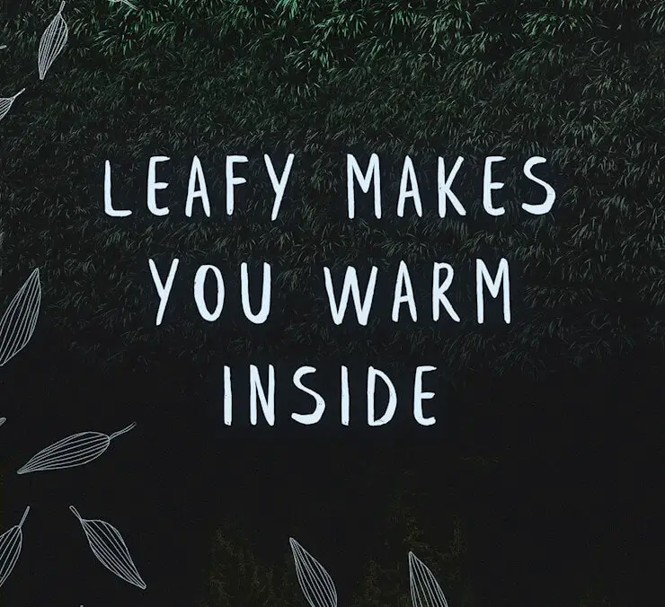 leafy-free-brush-font