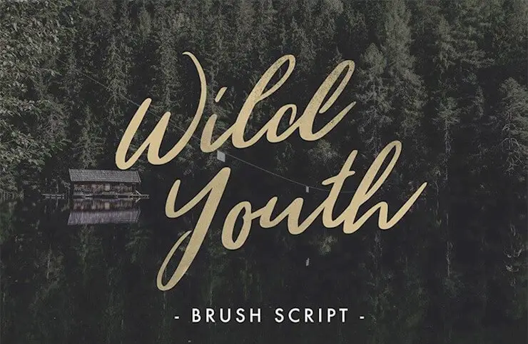 wild-youth-free-font