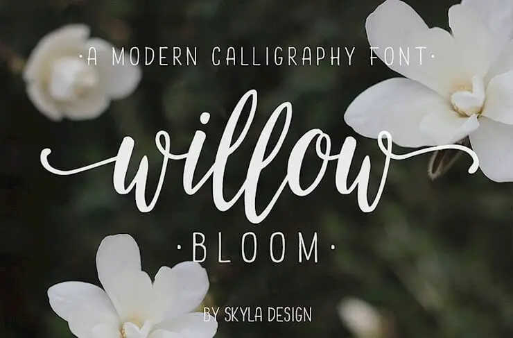 willow-bloom-modern-calligraphy-font