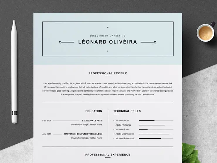 clean-resume-template-simple-cv