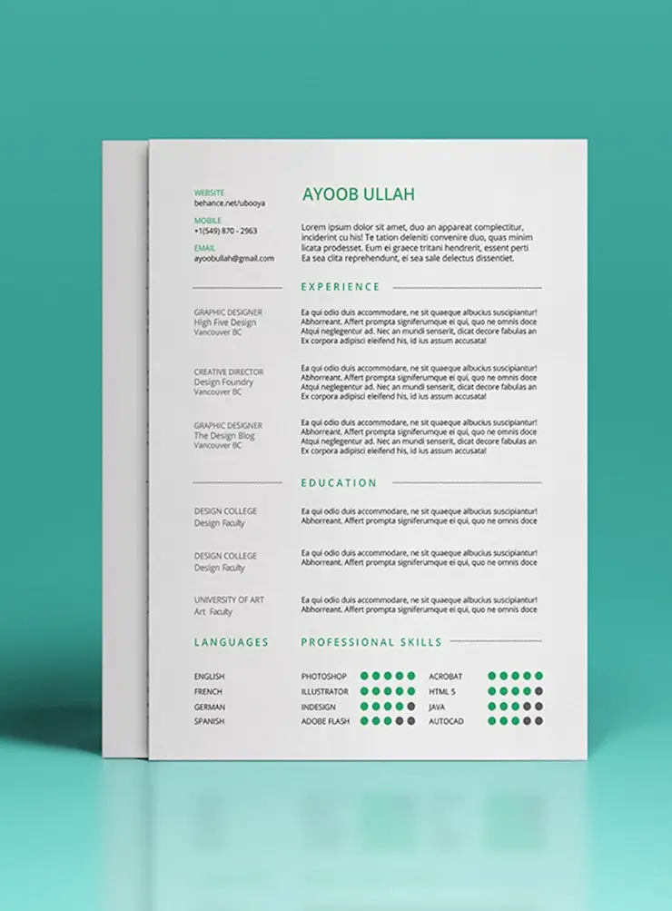 resume format in word for sales executive   6