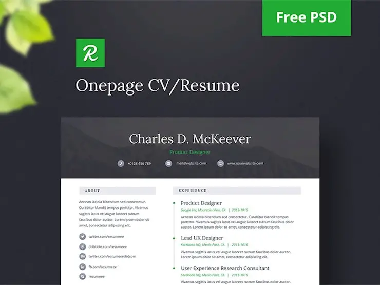 onepage-free-cv-resume-psd-template