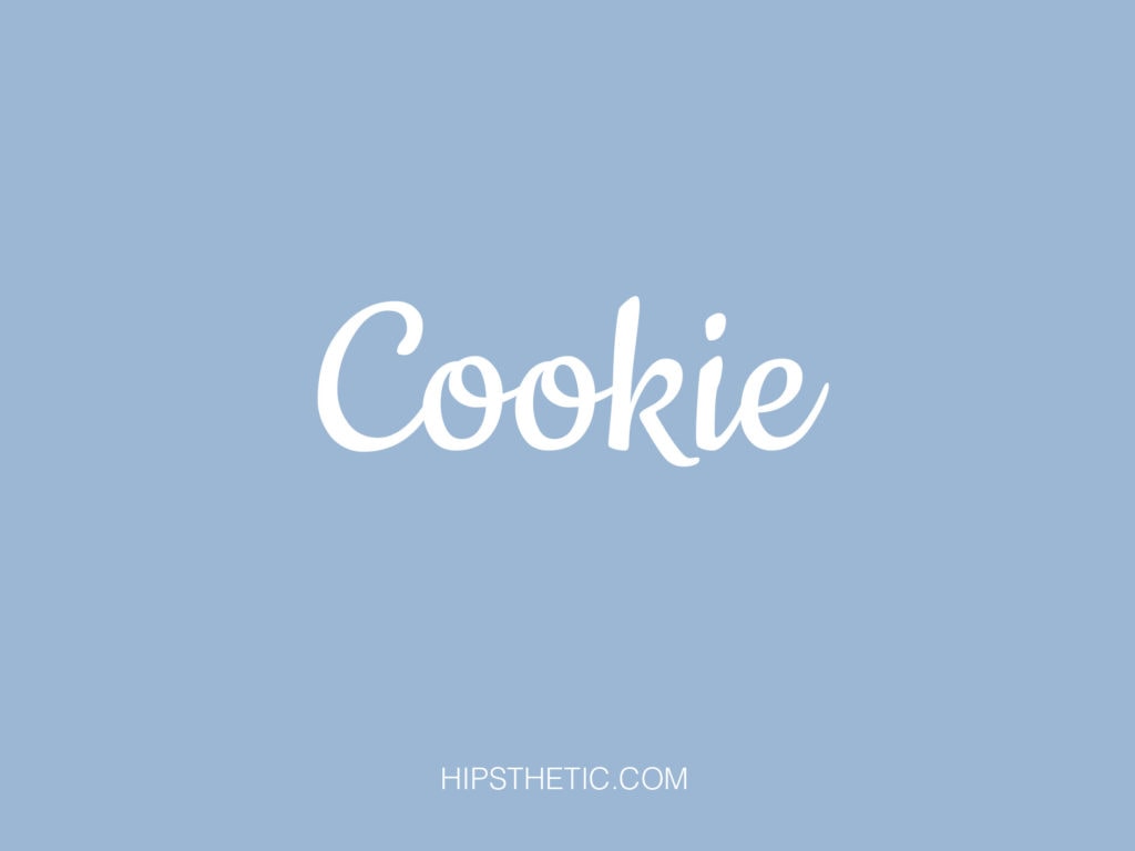 https://www.hipsthetic.com/wp-content/uploads/2020/12/cookie-1024x768.jpg